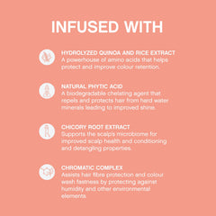 Shampoo bottle label panel with ingredient bullets: hydrolyzed quinoa, phytic acid, chicory