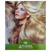 Angel en Provence Green Tea hair label with Angel logo
