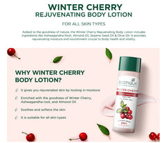 Biotique Winter Cherry rejuvenating body lotion bottle with cherries and green leaves