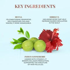 Hair oil ingredient illustration with green leaves, berries, and red hibiscus flowers