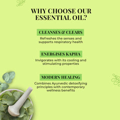 Eucalyptus essential oil why choose card with cleanse, energises, and healing sections