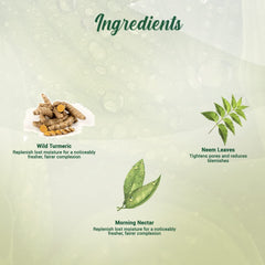 Face wash ingredients panel with wild turmeric and neem leaf graphics