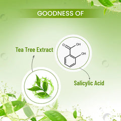 Tea tree extract and salicylic acid ingredient graphic for sheet mask