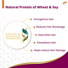 Anti-hair fall shampoo ingredient graphic with wheat and soy protein icons
