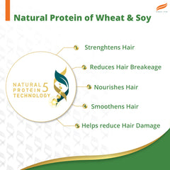 Natural protein of wheat and soy infographic with five hair benefits