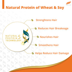 Shampoo care graphic for wheat and soy protein with five hair benefits