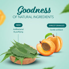 Face scrub tube with neem leaves and apricot granules illustrations on front panel