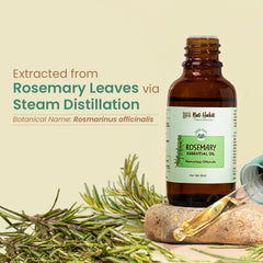 Rosemary essential oil bottle with amber liquid, rosemary sprigs, and glass dropper.