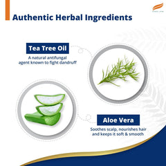 Anti-dandruff tea tree shampoo ingredient infographic with tea tree oil and aloe vera