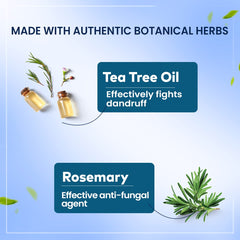 Anti-dandruff hair oil ingredient graphic with tea tree oil and rosemary icons
