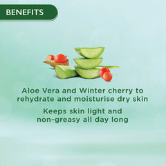 Skin cream benefits card with aloe vera and winter cherry icons and text