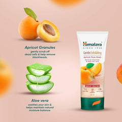 Himalaya gentle exfoliating apricot face wash tube beside apricot and aloe vera slices