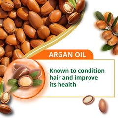 Argan oil ingredient illustration with hair-conditioning text for conditioner