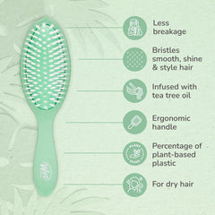 Mint green oval hair brush with white bristles on ergonomic handle
