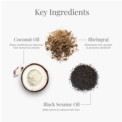 Hair oil key ingredients graphic with coconut oil, bhringraj, black sesame oil