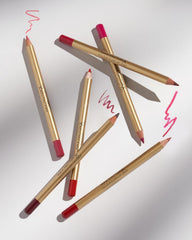 Gold lip liner pencils with rose-red and nude tips