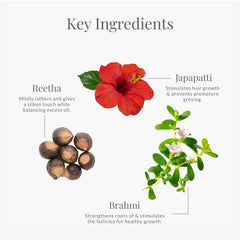Hair cleanser key ingredients graphic with red flower, herbs, and seed clusters