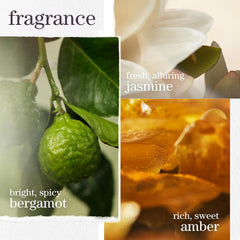Fragrance notes graphic for hair serum with bergamot, jasmine, and amber