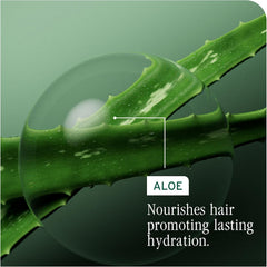 Aloe leaf gel graphic with hydration message panel reading “ALOE”.