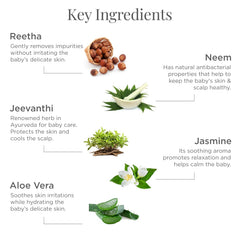 Baby hair and body wash ingredients infographic: Reetha, Neem, Jeevanthi, Aloe vera, Jasmine