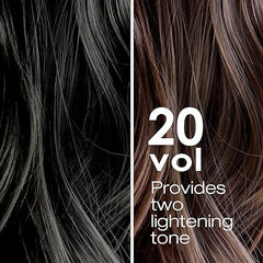 20 vol hair lightening chart with two-tone strands