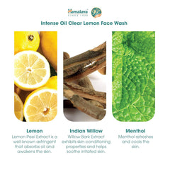 Lemon face wash ingredient icons: lemons, Indian willow sticks, menthol leaves