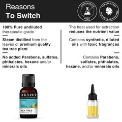 Tea tree essential oil bottles, including dropper bottle, with switch reasons text