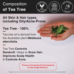 Tea tree essential oil composition graphic with tea tree leaves held in a hand