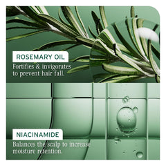 Rosemary oil and niacinamide benefits graphic for hair fortifying spray