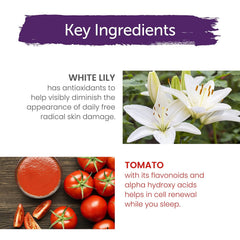 Key ingredients panel: white lily and tomato for revitalizing night cream