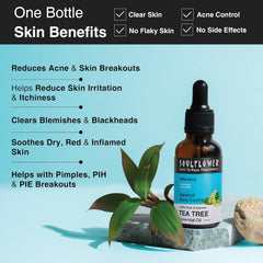 Tea tree essential oil dropper bottle with skin-benefits icons and plant beside it