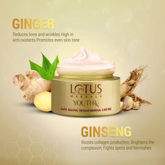Anti-ageing transforming cream jar with ginger and ginseng accents, pink cream top