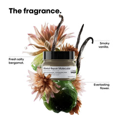 L'Oreal Professionnel Absolut Repair Molecular rinse-off mask jar with green label, 250 ml