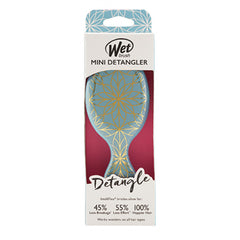 Wet Mini Detangler box packaging with blue geometric brush design and red label.