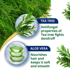 Anti-dandruff conditioner ingredients graphic: tea tree antifungal and aloe vera