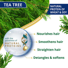Anti-dandruff conditioner benefits graphic featuring tea tree, nourishes and smooths hair