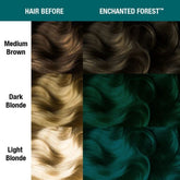Hair dye swatch comparison showing dark teal-green Enchanted Forest on hair