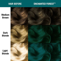 Hair dye swatch comparison showing dark teal-green Enchanted Forest on hair