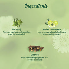 Hair oil ingredients infographic with Bhringraj, Indian gooseberry, and licorice