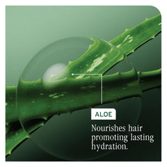 Aloe ingredient panel graphic with 'Nourishes hair promoting lasting hydration' text