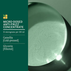 Anti-frizz shampoo concentrate label with Camellia and filtered Glycerin ingredients
