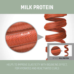 Milk protein comparison graphic with curly hair strands and milk protein detail inset