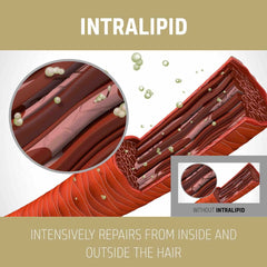 Hair repair illustration with INTRALIPID in stylized hair strands and bubbles