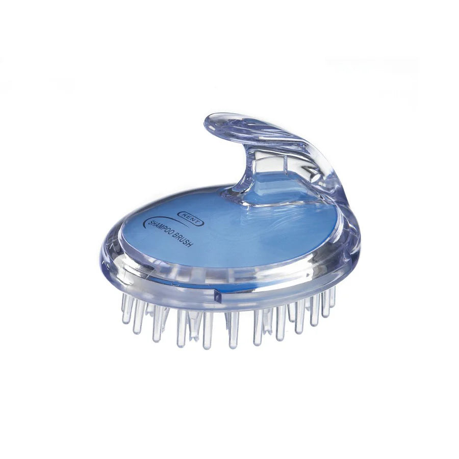 Blue plastic shampoo and scalp massage brush with suction cup base and round bristles