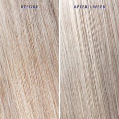 Hair strands split before and after 1 week with purple treatment