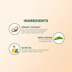 Ingredients icons: coconut, basil leaves, and olive oil for body lotion