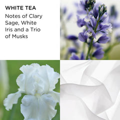 White tea flowers with notes graphic for body cream