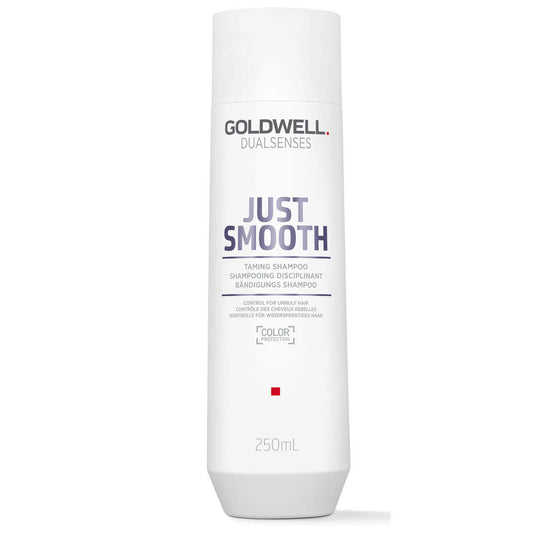Goldwell Dualsenses Just Smooth Shampoo 300ml - Kess Hair and Beauty