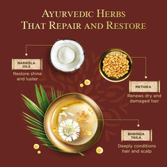 Ayurvedic herbs graphic for repairing shampoo, coconut half and seed bowl icons.