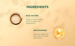 Biotique Rice Water & Niacinamide Gel Face Scrub for Glass Skin 100ml